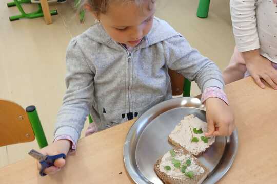 Microgreens 1
