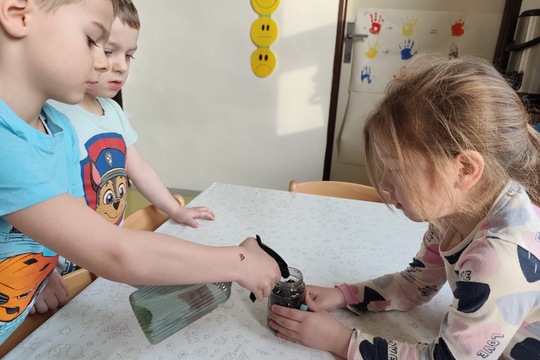 Pěstování řeřichy 1