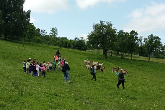 Návštěva kozí ekofarmy  v Merbolticích 1