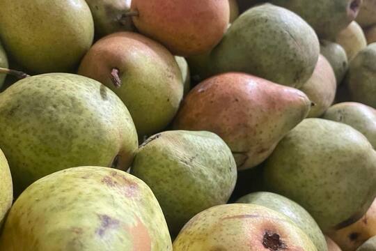 Návštěva dodavatele - farmářský obchod Louny  1