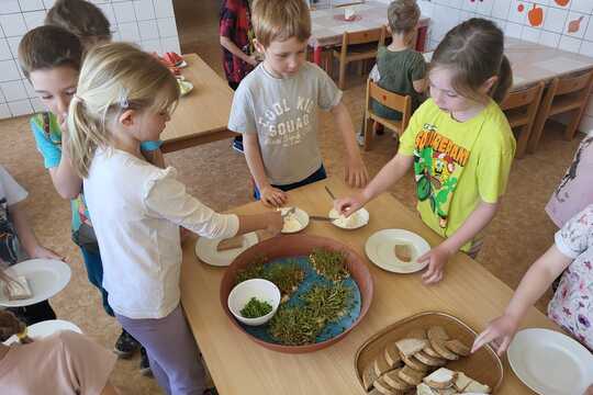 Co roste na Zemi - Sluníčka 1