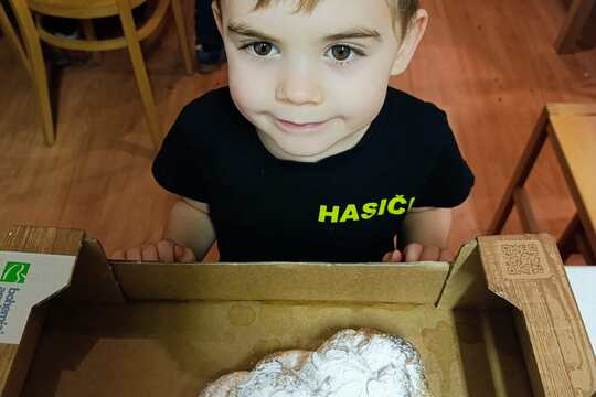 Společné pečení vánoček 1