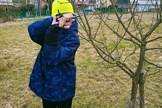Jarní řez ovocných stromů 1