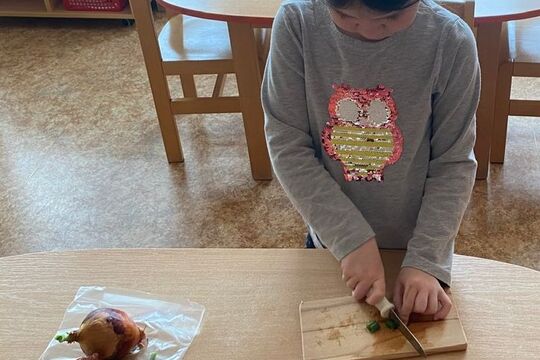 Cibule - Kytičky 1