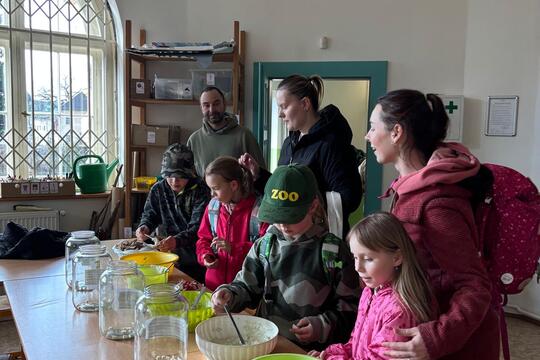 Zdravé pomazánky 1