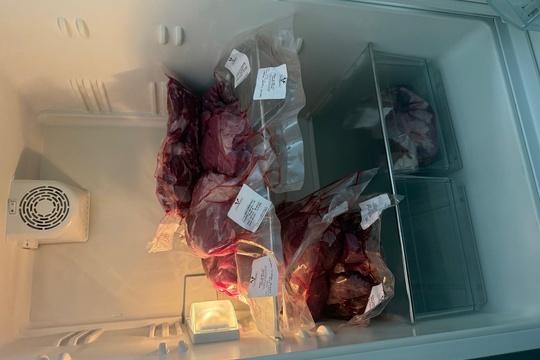 Lokální dodavatel hovězího masa - Statek Meduna Kostomlaty 1