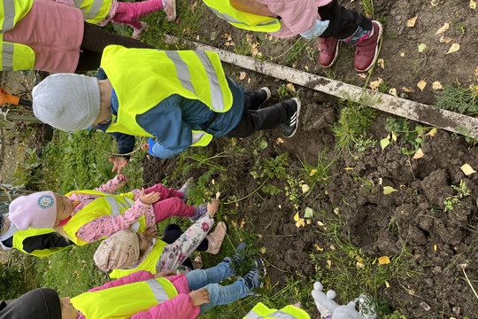 Sklízení mrkve a pečení mrkvových rohlíčků 1