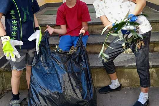 Naše zahrádka v prvním školním týdnu: sklízíme a uklízíme 1