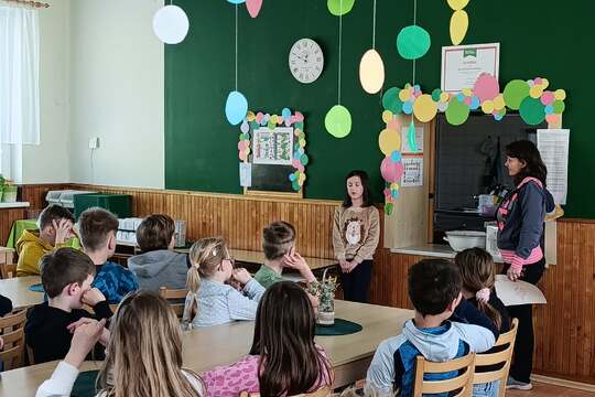 Pickles kvašená zelenina 1