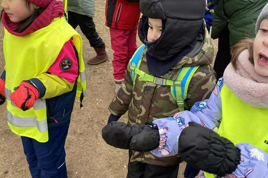 Výprava za labutěmi Výprava za labutěmi 1