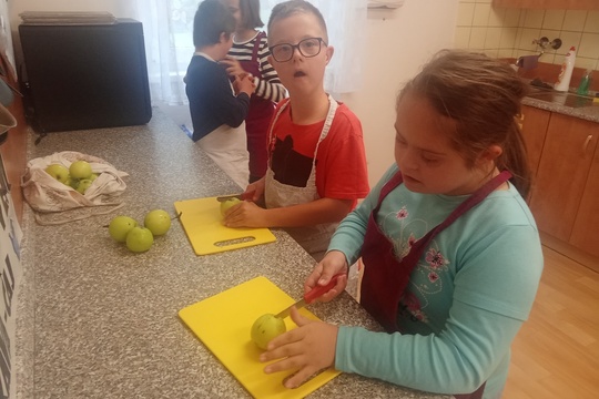 Zpracování jablíček z naší školní zahrady 1