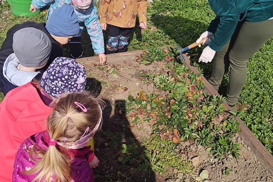 Bylinková radost v naší školce 1