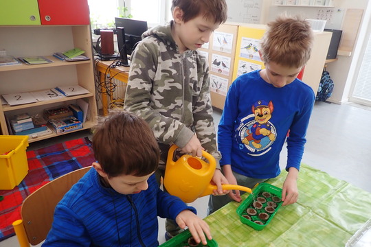 Vysévání semínek 1