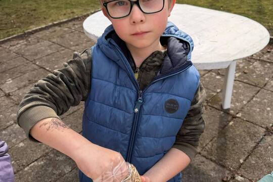 Pracovní činnosti 1