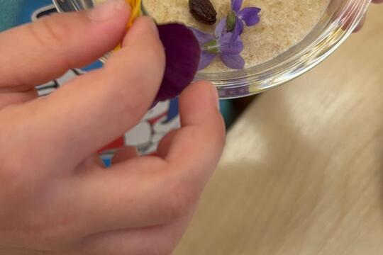 Ke svačině jaro  1