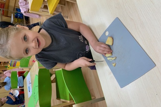 Sušení ovoce Sušení ovoce 1