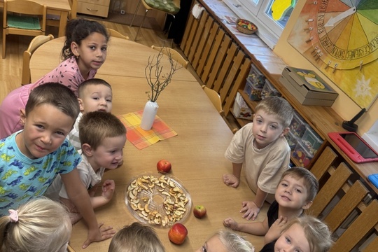 Zdravá pochoutka z jablek 1