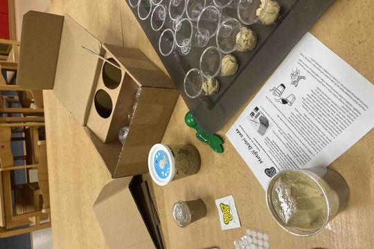 Líhnutí motýlů 1