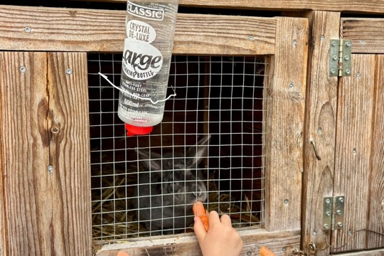 Poznáváme svět zvířat zblízka Poznáváme svět zvířat zblízka 1