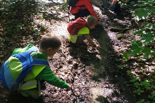 Studánky 1