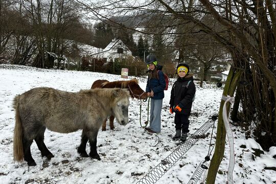 Návštěva poníků v Lísce Návštěva poníků v Lísce 1
