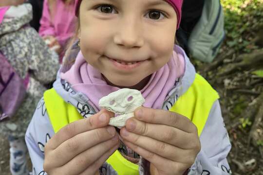 Výlet do pravěku 1