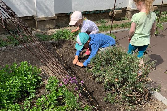 June Planting 1