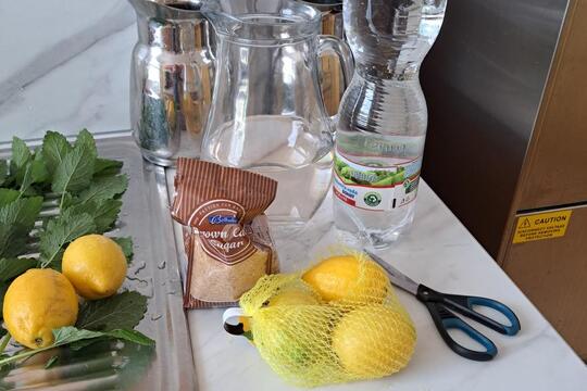 Domácí limonáda 1