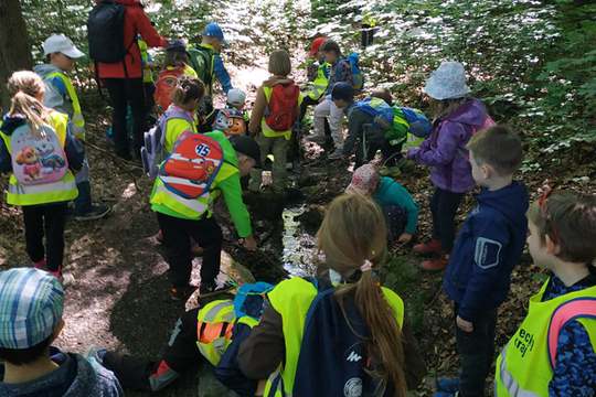 Studánky 1