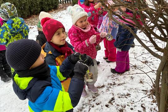 Pomáháme ptáčků přečkat zimu 1