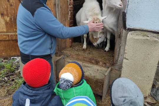 Návštěva farmy dojných a kašmírských koz  1