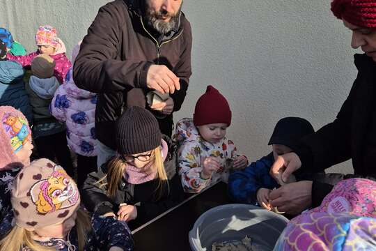 Zasaď dobro s kuřátkem  1