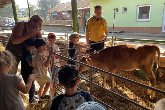 Motýlci a dopolední exkurze na Farmu a minimlékarnu Tehov 1