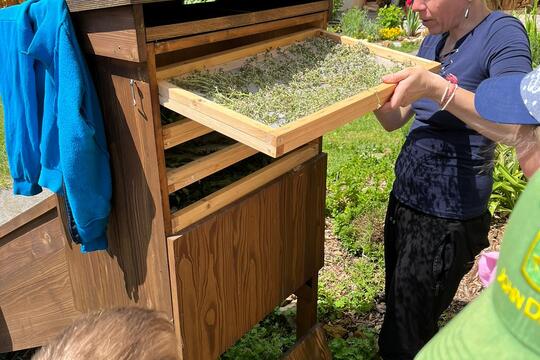 Centrum enviromentální výchovy Stolístek v Linharticích - dobroty ze zahrady 1