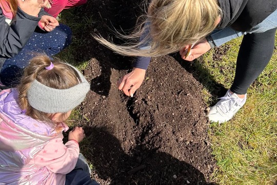 Jarní příprava záhonů 1