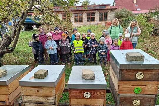 Úryvky od Medvídků Úryvky od Medvídků 1