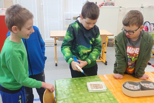 Pěstujeme microgreens 1