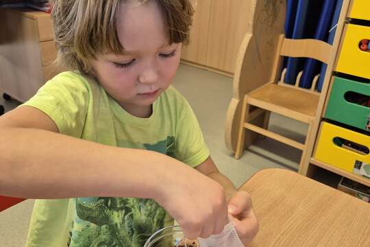 Připravujeme si bylinkový čaj  1