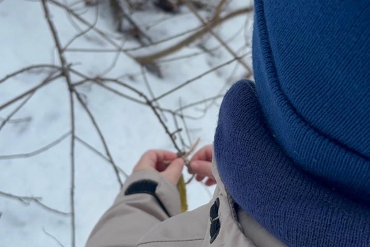 Vnímáme přírodu  1