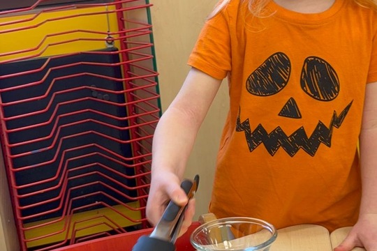 Vlastní rozhodnutí - vlastní salát  1