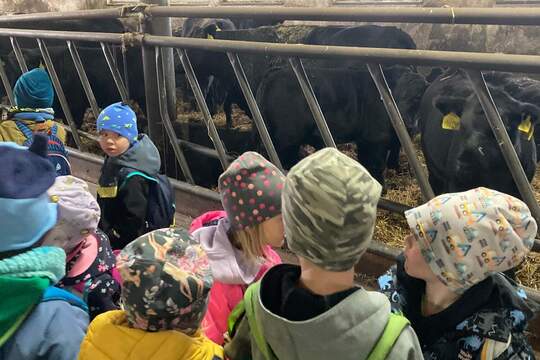 Cesta na farmu a do bioplynky 1