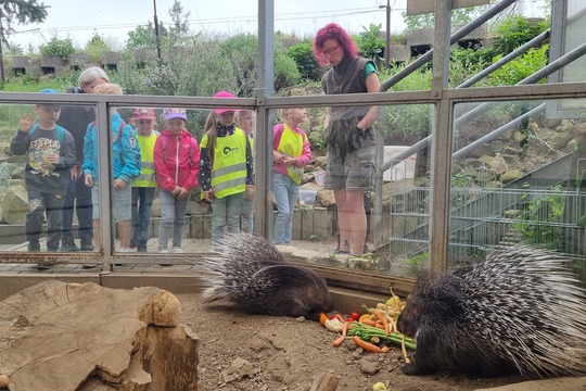 Ježečci z MŠ Soběchleby - Návštěva Bioparku v Teplicích 1