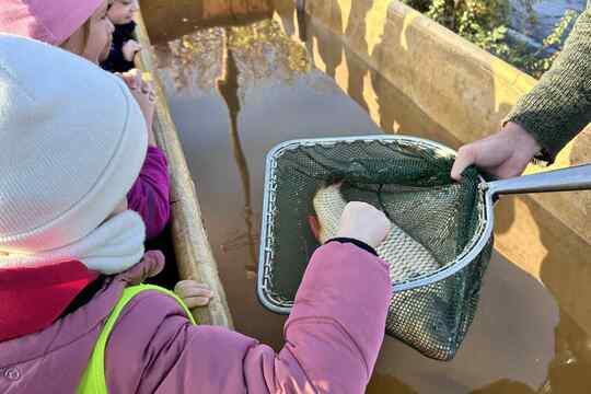 Výlov rybníka Výlov rybníka 1