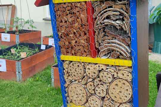 Jedlá zahrada roste díky společnému nadšení 1