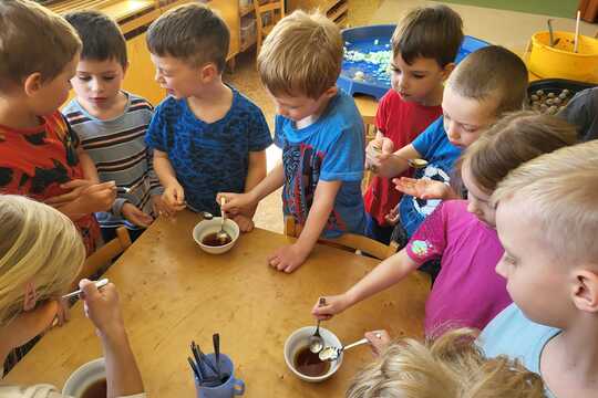 Pampeliškový med - Sluníčka 1