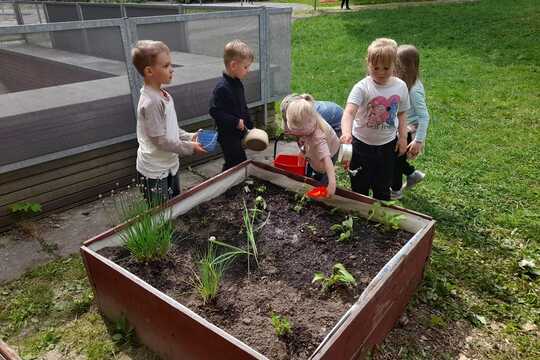 Je tady období po "třech zmrzlých" - nastal čas zahradničení venku 1