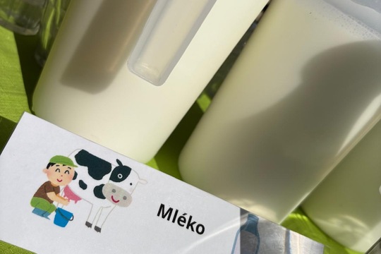Společné ráno a raut školní jídelny  1