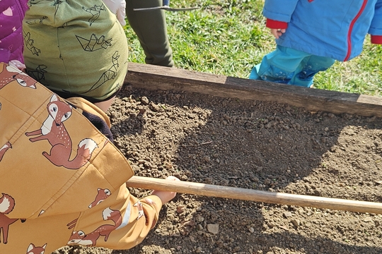 Bylinková radost v naší školce 1