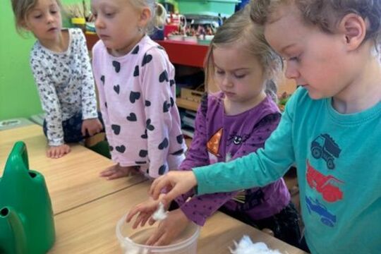 Microgreens - Sovičky 1