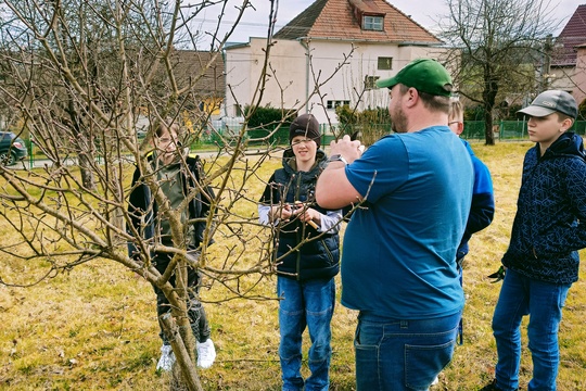 Jarní řez ovocných stromů 1